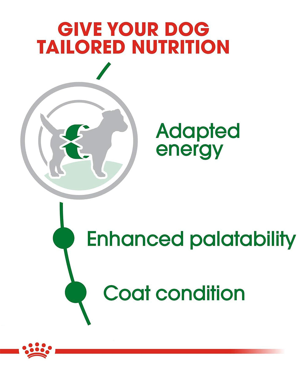 Royal canin mini adult dog dry food 2kg