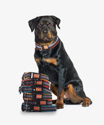 Load image into Gallery viewer, Kibbo Reflective Collar