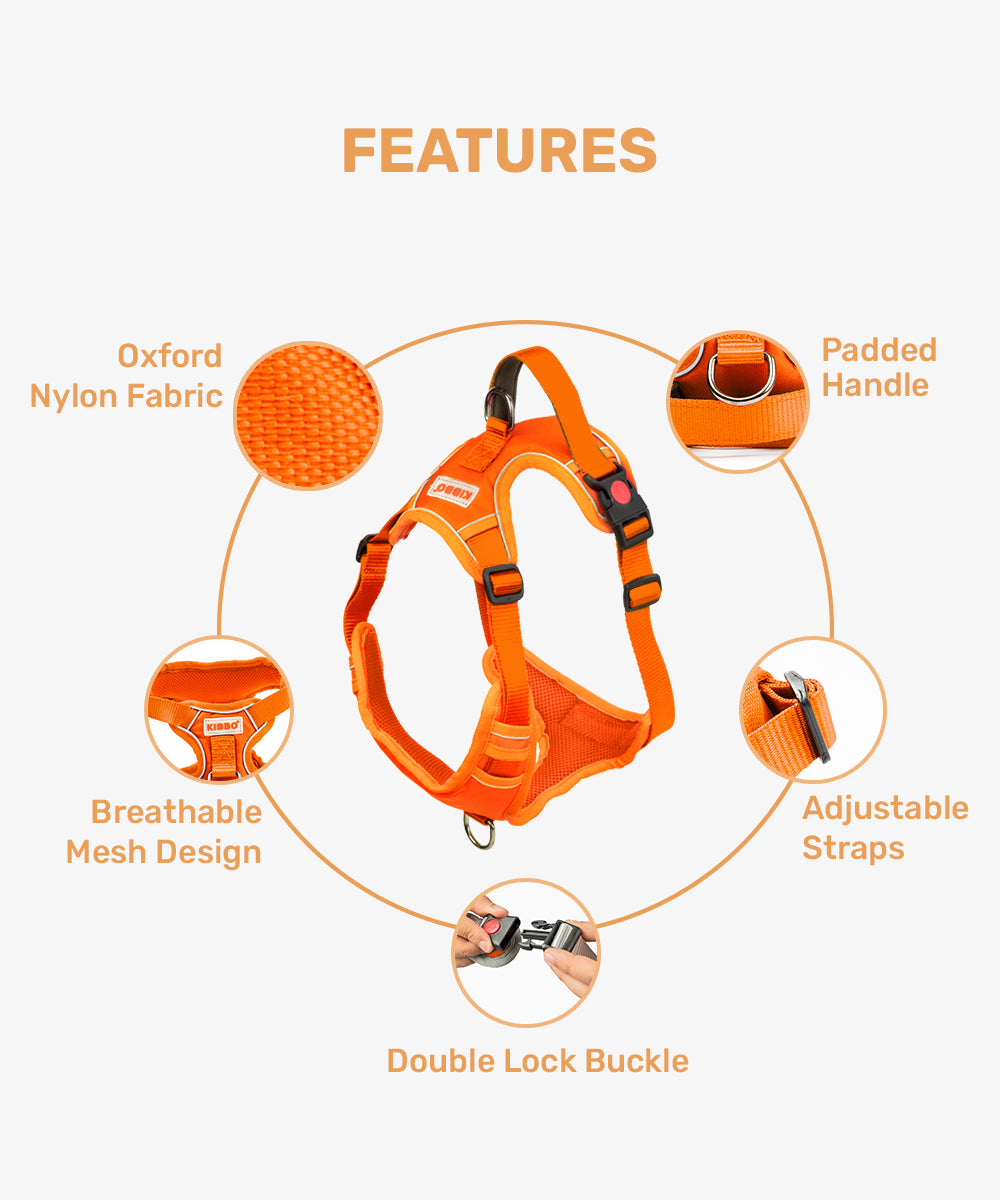 Reflective vest harness
