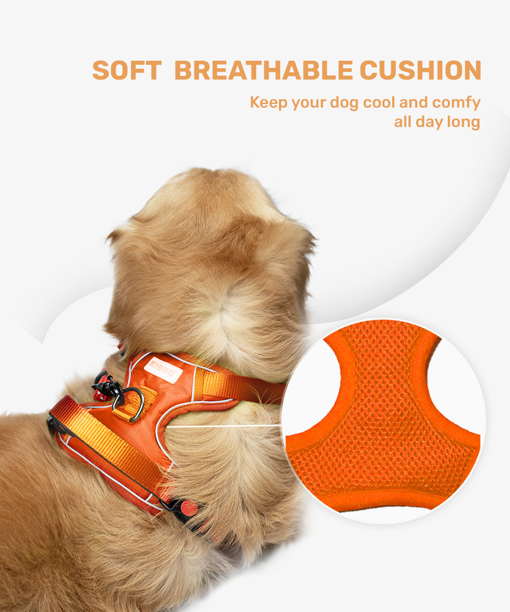 Reflective vest harness