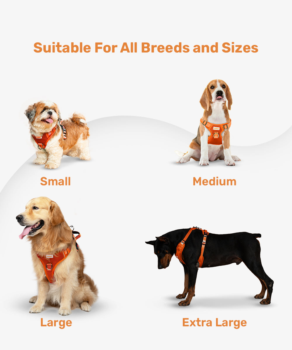 Reflective vest harness