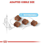 Load image into Gallery viewer, Royal Canin Mother & Babycat Cat Dry Food 4kg