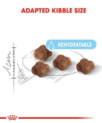 Load image into Gallery viewer, Royal Canin Mother & Babycat Cat Dry Food 4kg