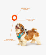 Load image into Gallery viewer, Rubber Toy, Knotted Ring, Orange