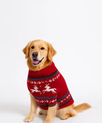 Load image into Gallery viewer, Sweater-XL (20 inch Length)