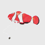 Load image into Gallery viewer, Trixie Wiggly Clown Fish (Cat)