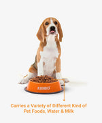 Load image into Gallery viewer, Anti Skid Bowl, Orange