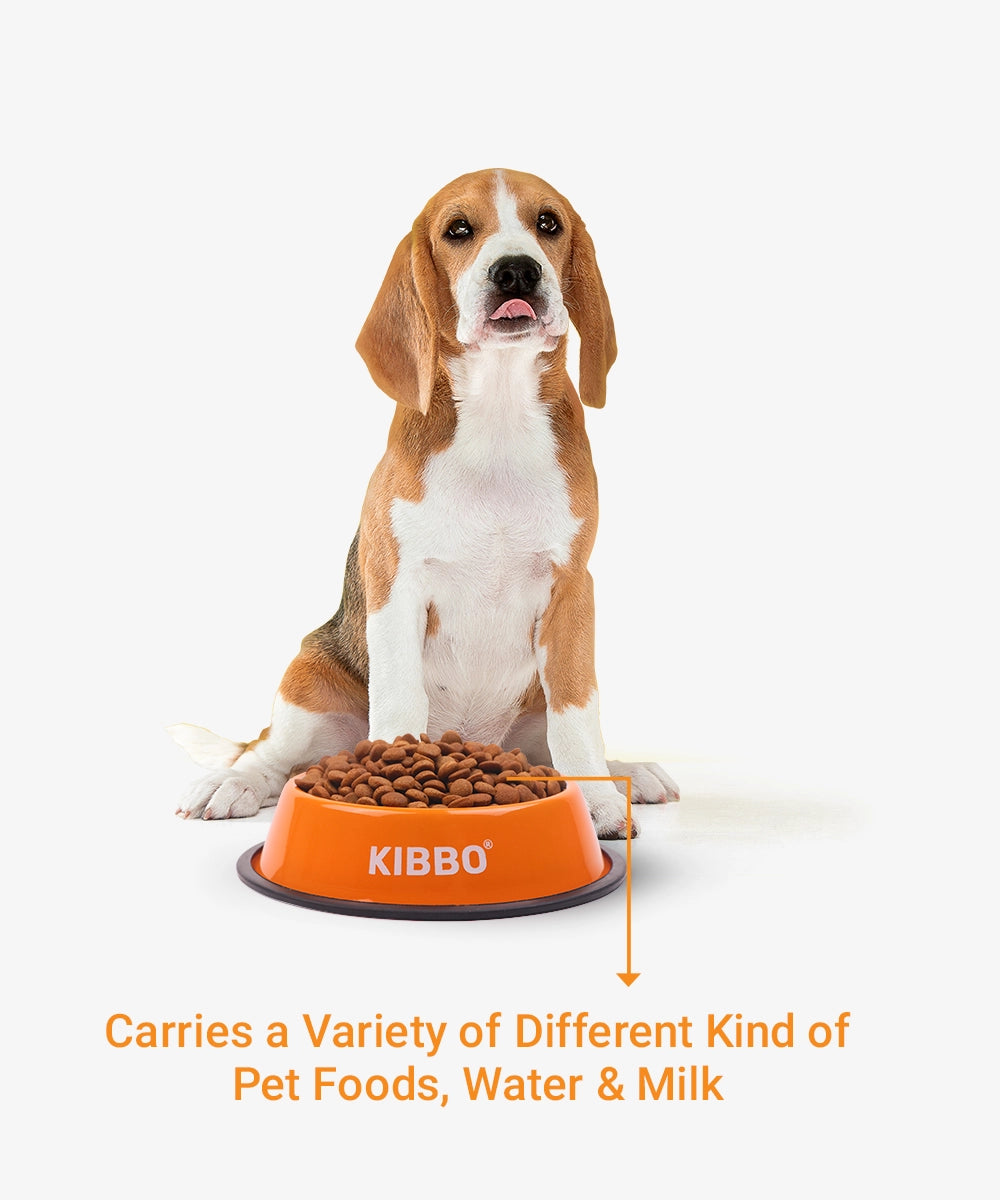 Anti skid bowl, orange