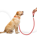 Load image into Gallery viewer, Reflective Rope Leash