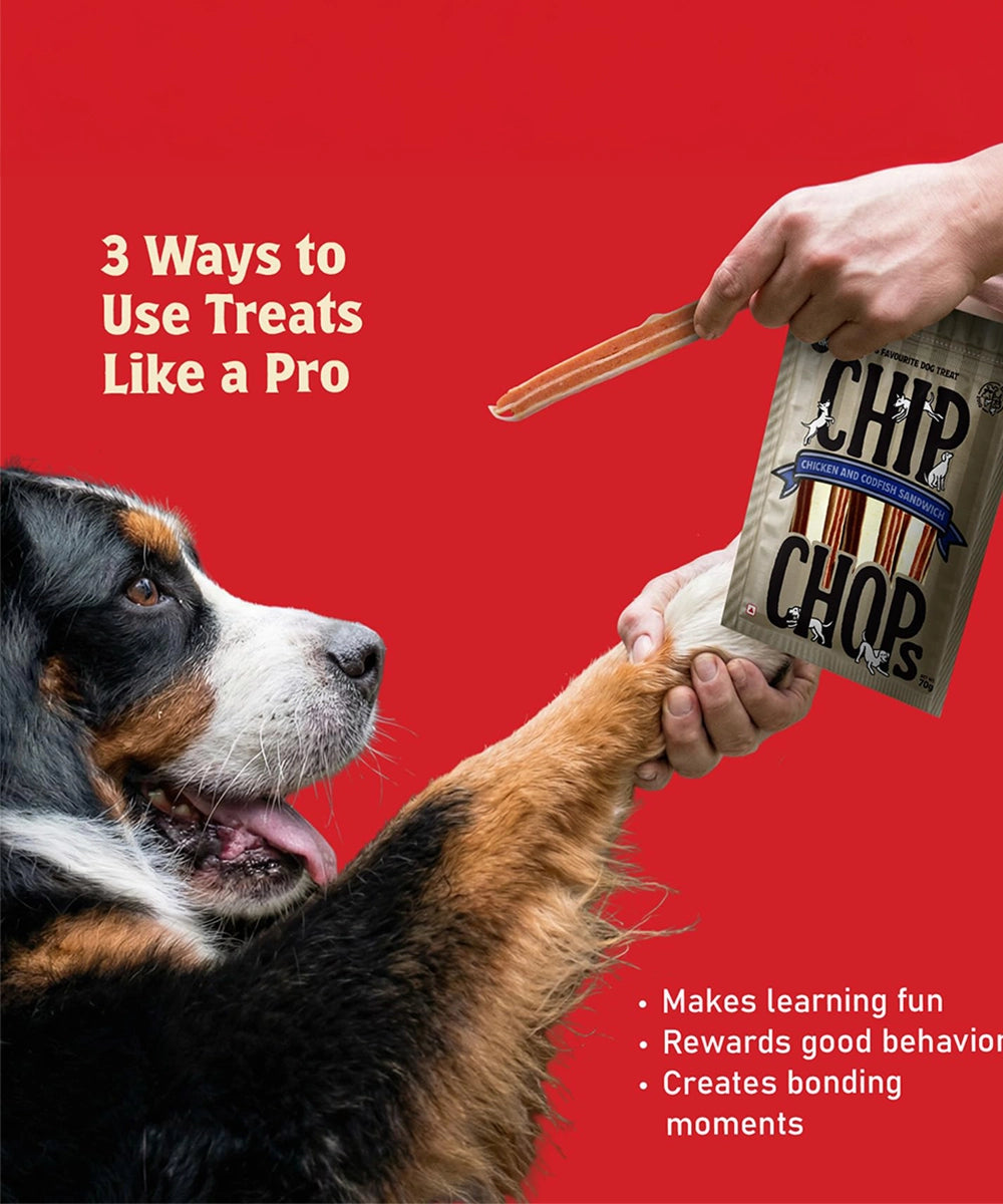 Chip chops dog treats   chicken & codfish sandwich