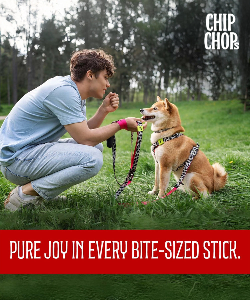 Chip chops dog treats   fish on stick