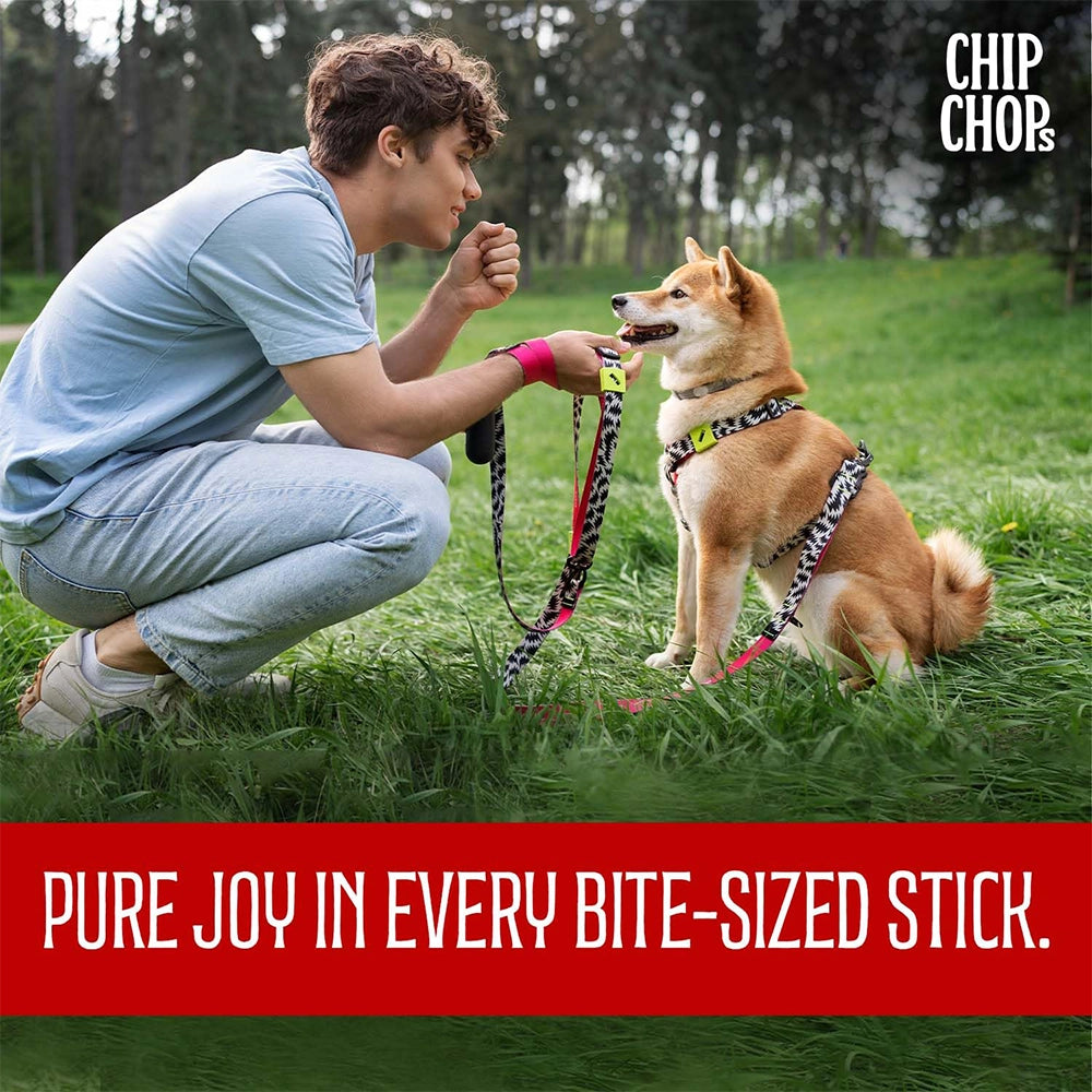 Chip chops dog treats   fish on stick