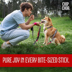 Load image into Gallery viewer, Chip Chops Dog Treats - Fish On Stick
