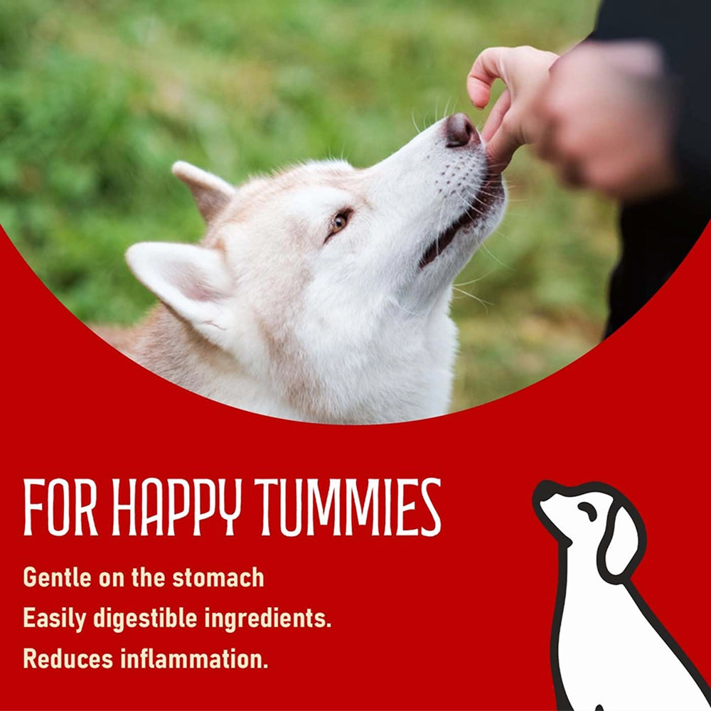 Chip chops dog treats   fish on stick