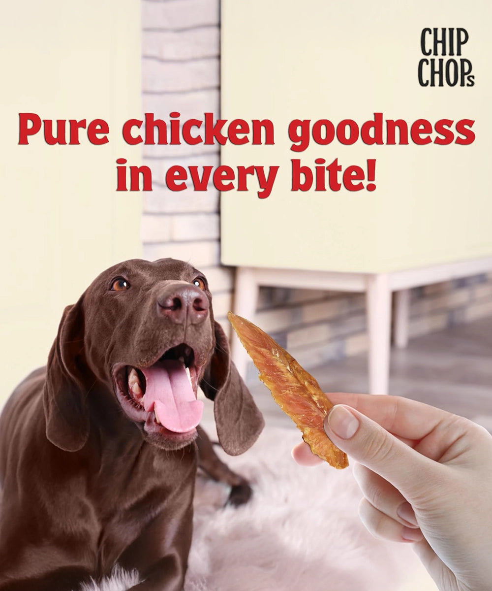 Chip chops dog treats   sun dried chicken jerky
