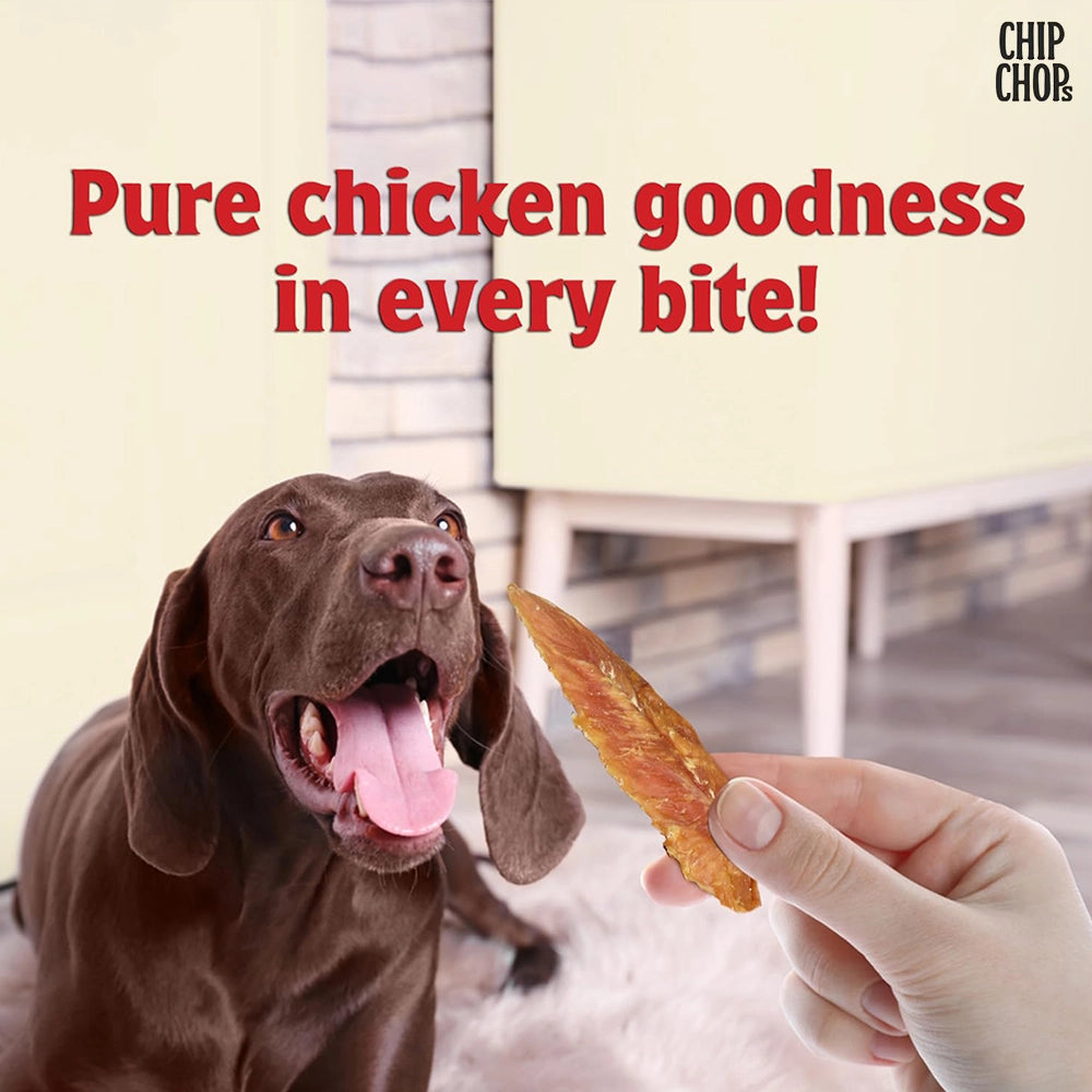 Chip Chops Dog Treats - Sun Dried Chicken Jerky