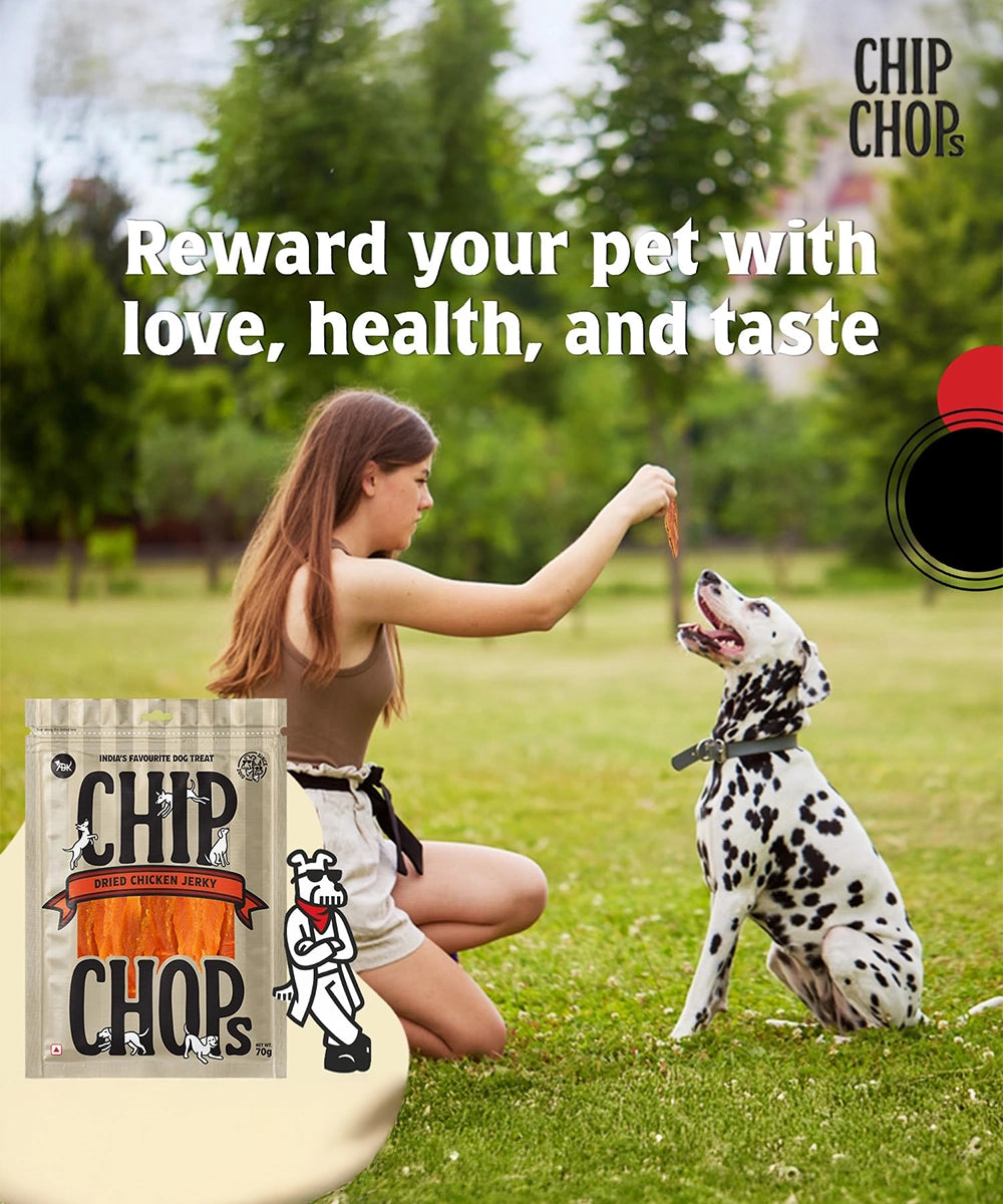 Chip Chops Dog Treats - Sun Dried Chicken Jerky