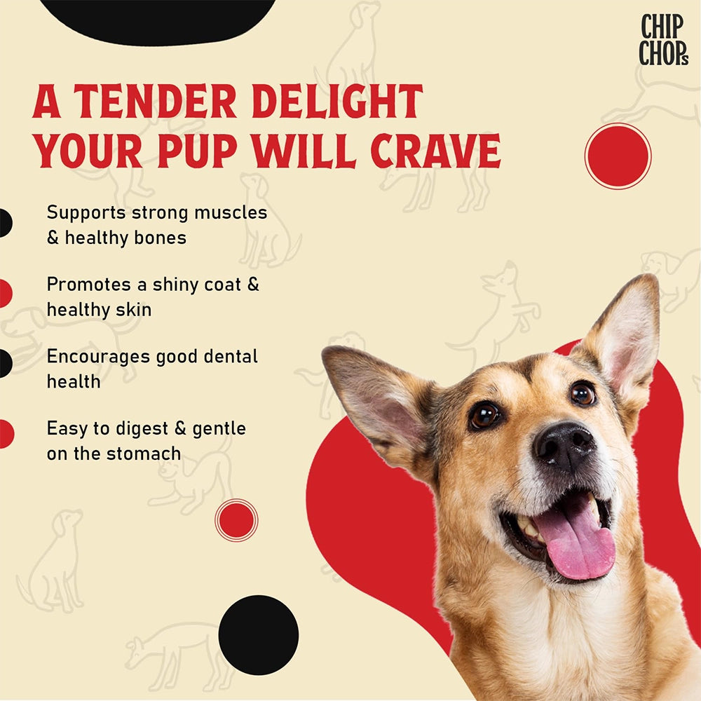 Chip Chops Dog Treats - Sun Dried Chicken Jerky