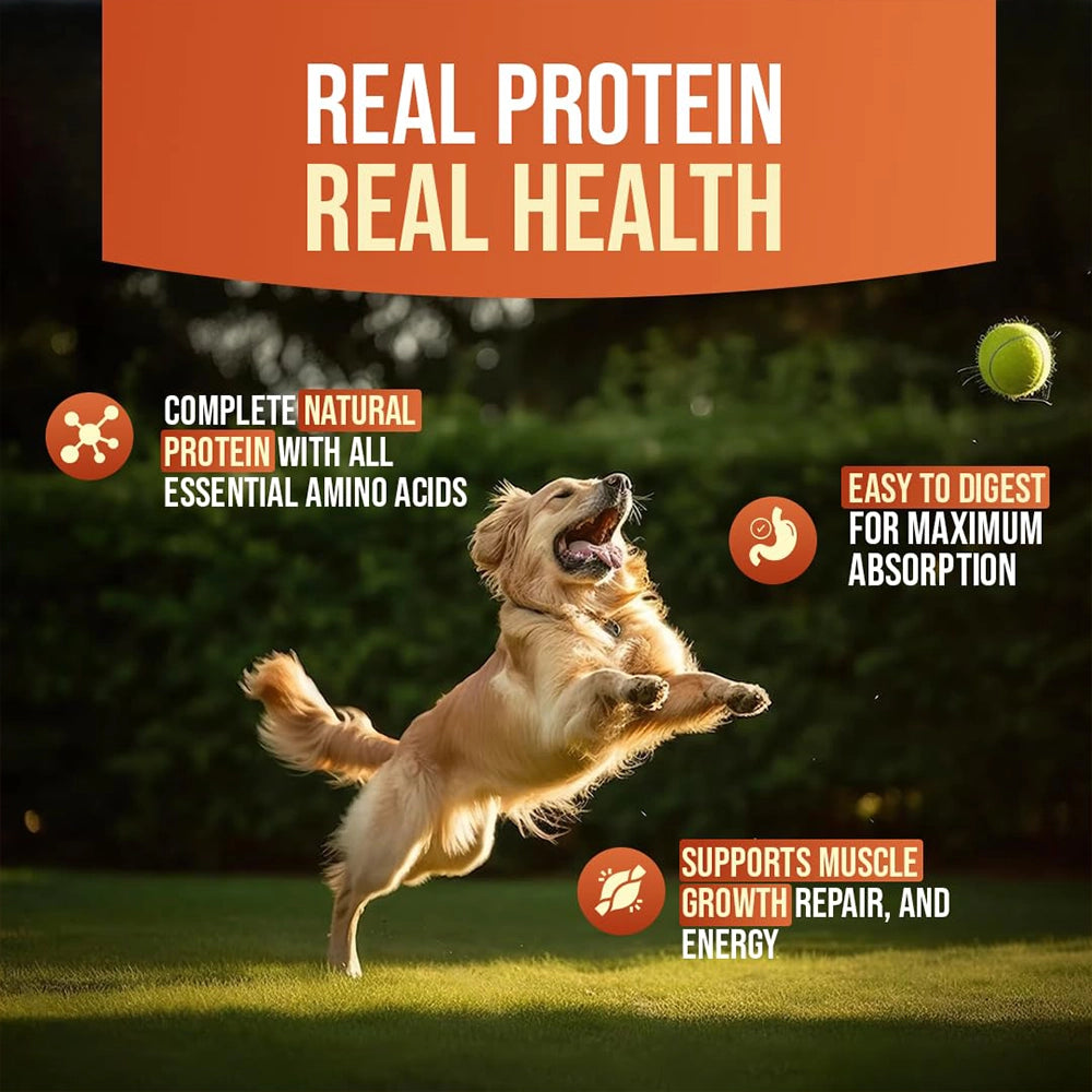 Chicken training cube   training treats 70gm