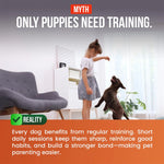 Load image into Gallery viewer, Soft Chews Tender Chicken Jerky 70GM
