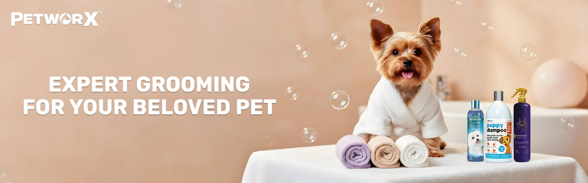 Grooming_banner