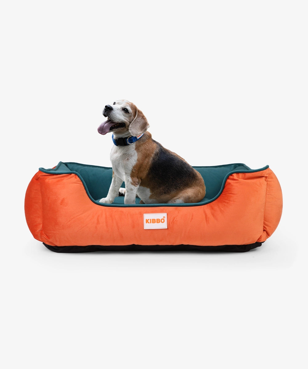 Kibbo lounger bed, orange & green