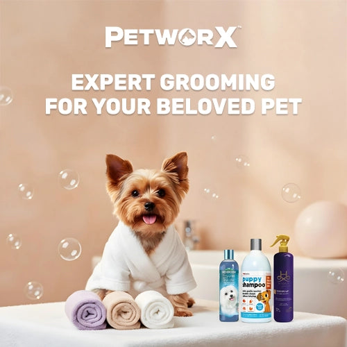 Mobile_size_02_grooming