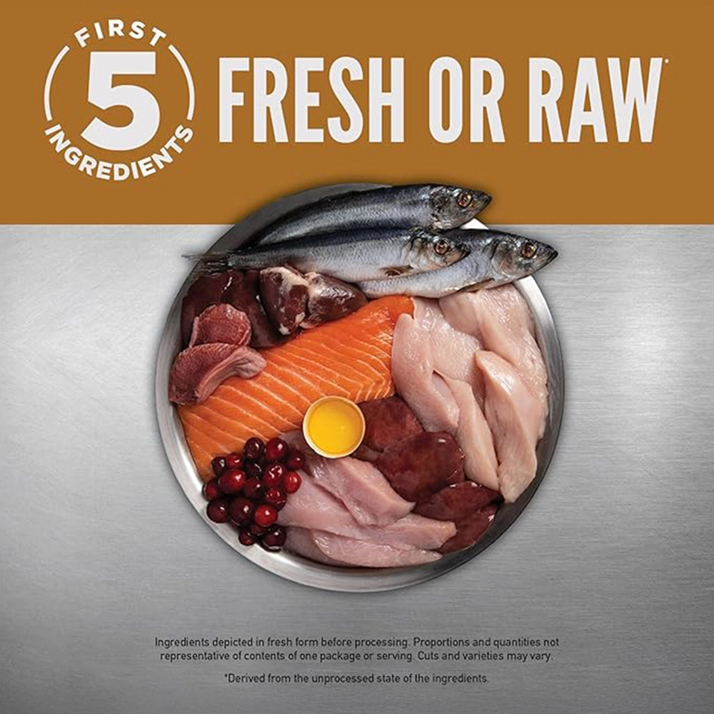 Orijen original cat & kitten dry food (all breeds & ages) 2kg