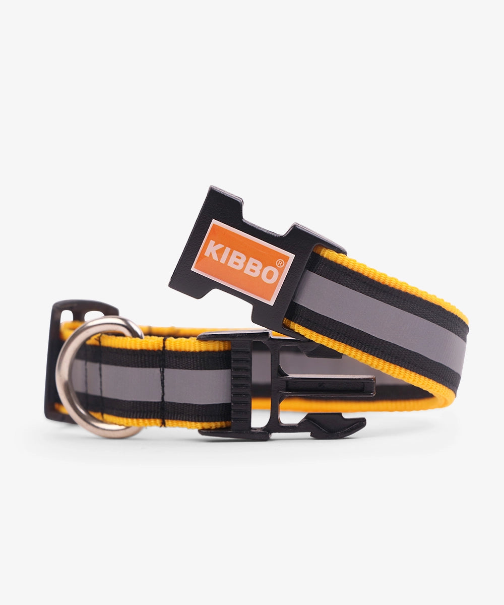 Kibbo reflective collar