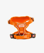 Load image into Gallery viewer, Reflective Vest Harness
