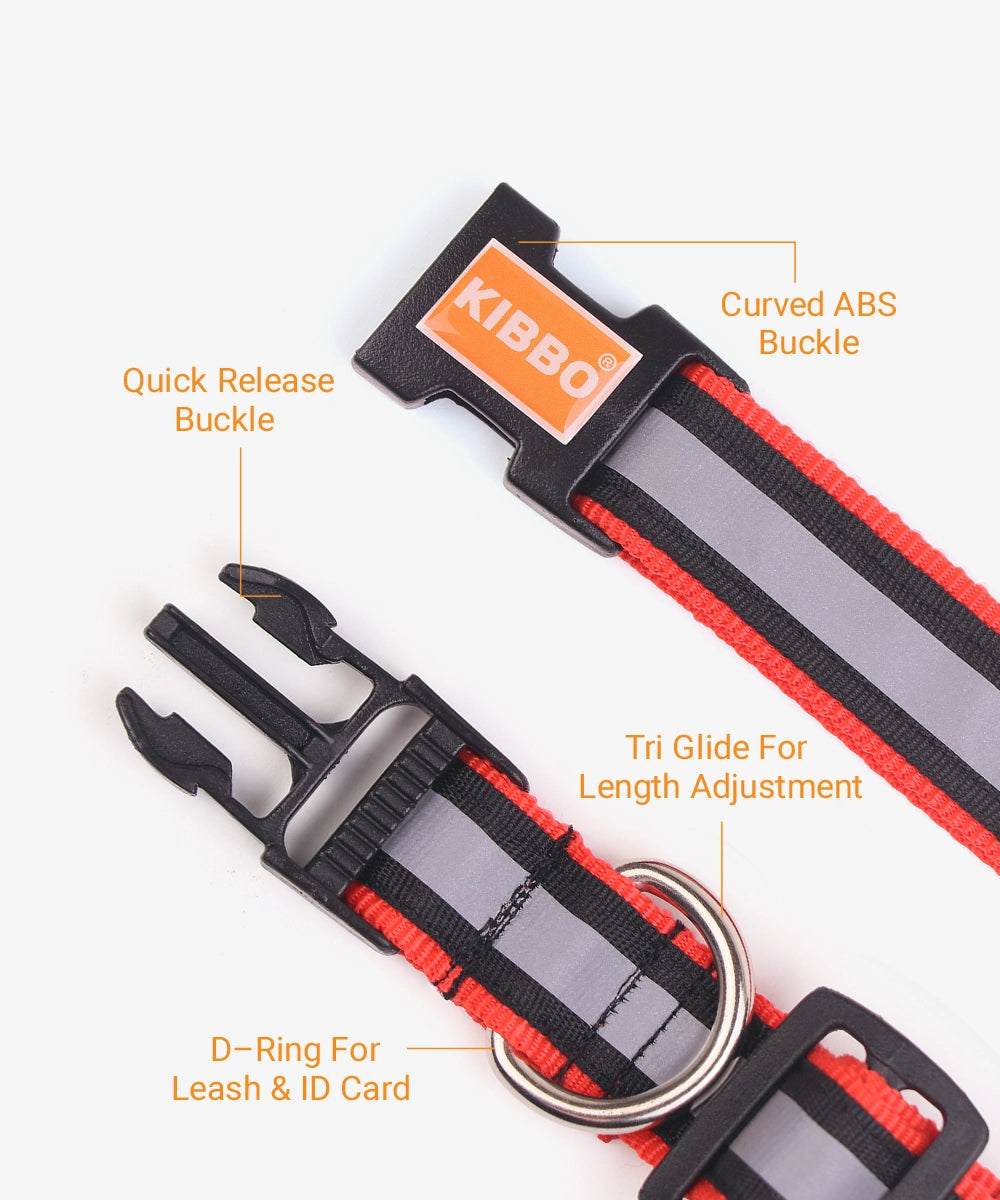 Kibbo reflective collar