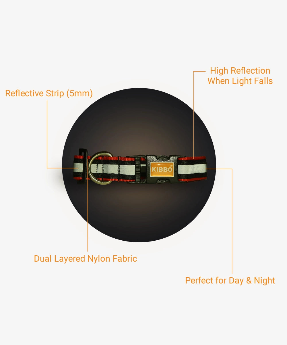 Kibbo reflective collar