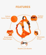 Load image into Gallery viewer, Reflective Vest Harness

