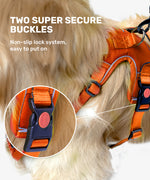 Load image into Gallery viewer, Reflective Vest Harness
