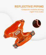 Load image into Gallery viewer, Reflective Vest Harness
