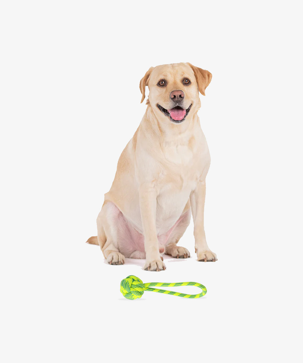 Rope toy, handle ball