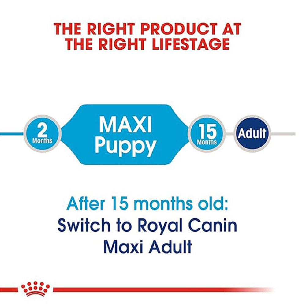Maxi Puppy