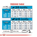 Load image into Gallery viewer, Maxi Puppy
