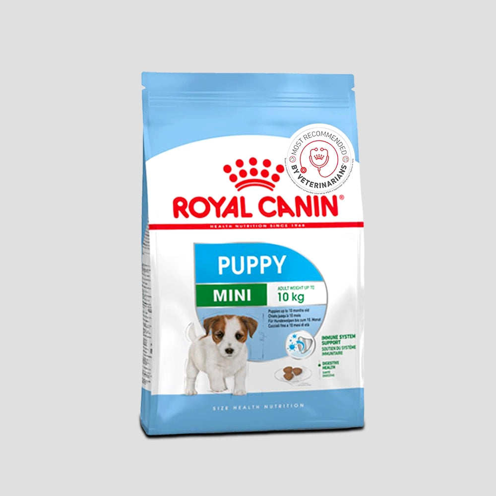 Mini puppy 800gm