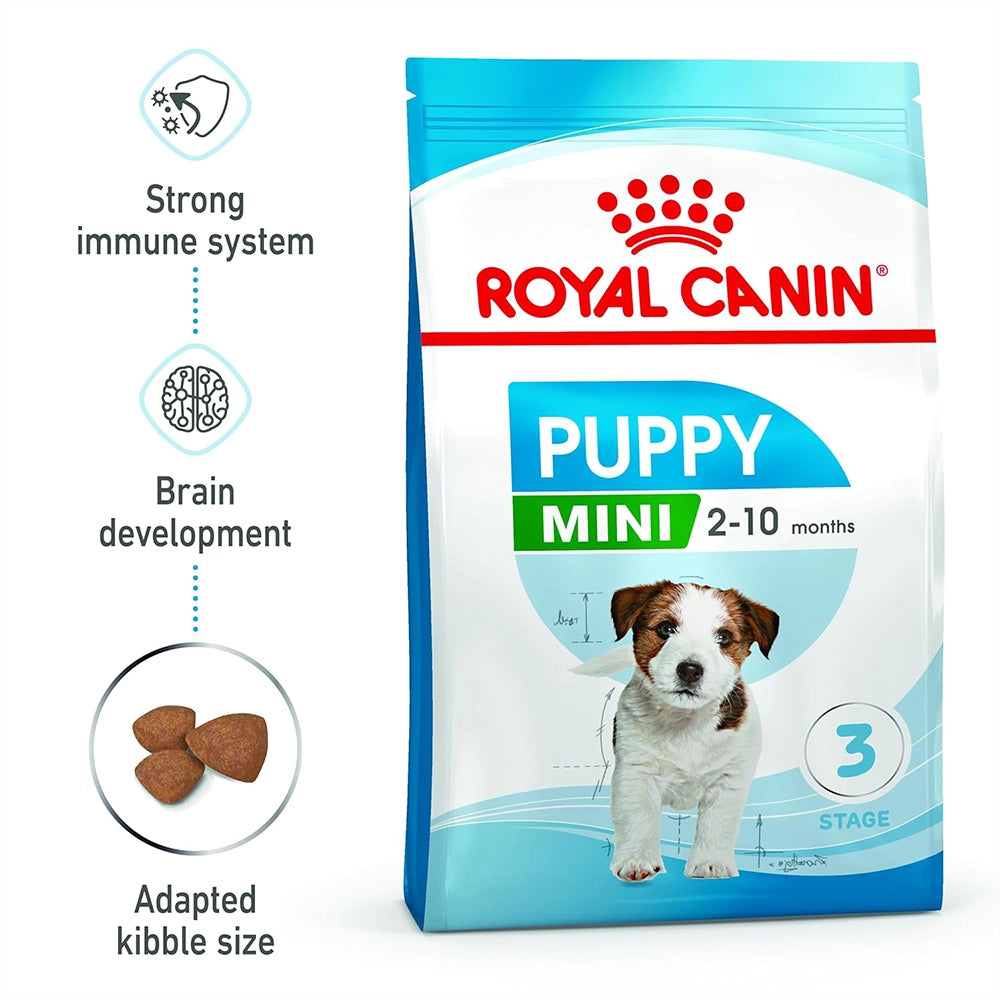 Mini puppy 800gm