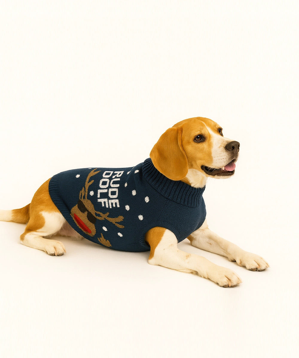 Sweater-3XL (24 inch Length)