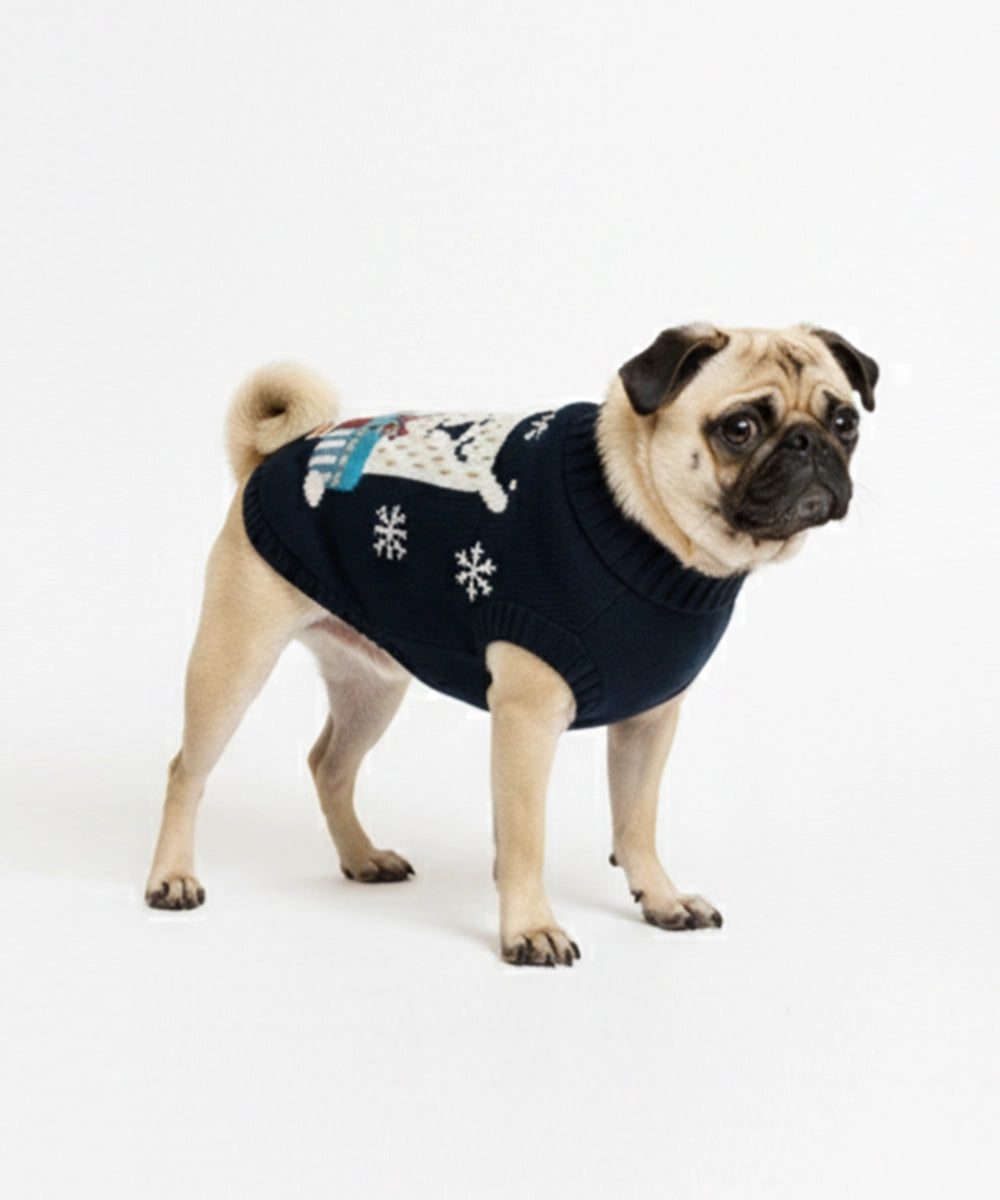 Sweater medium size (16 inch length)