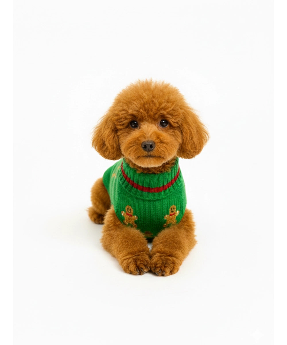 Sweater small size (14 inch length)