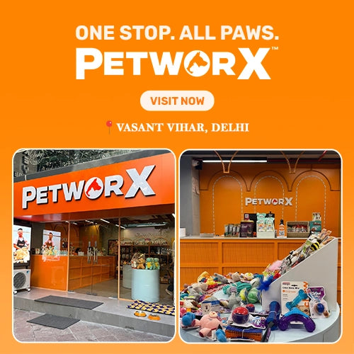 Vv_store_banner_mobile_size_3