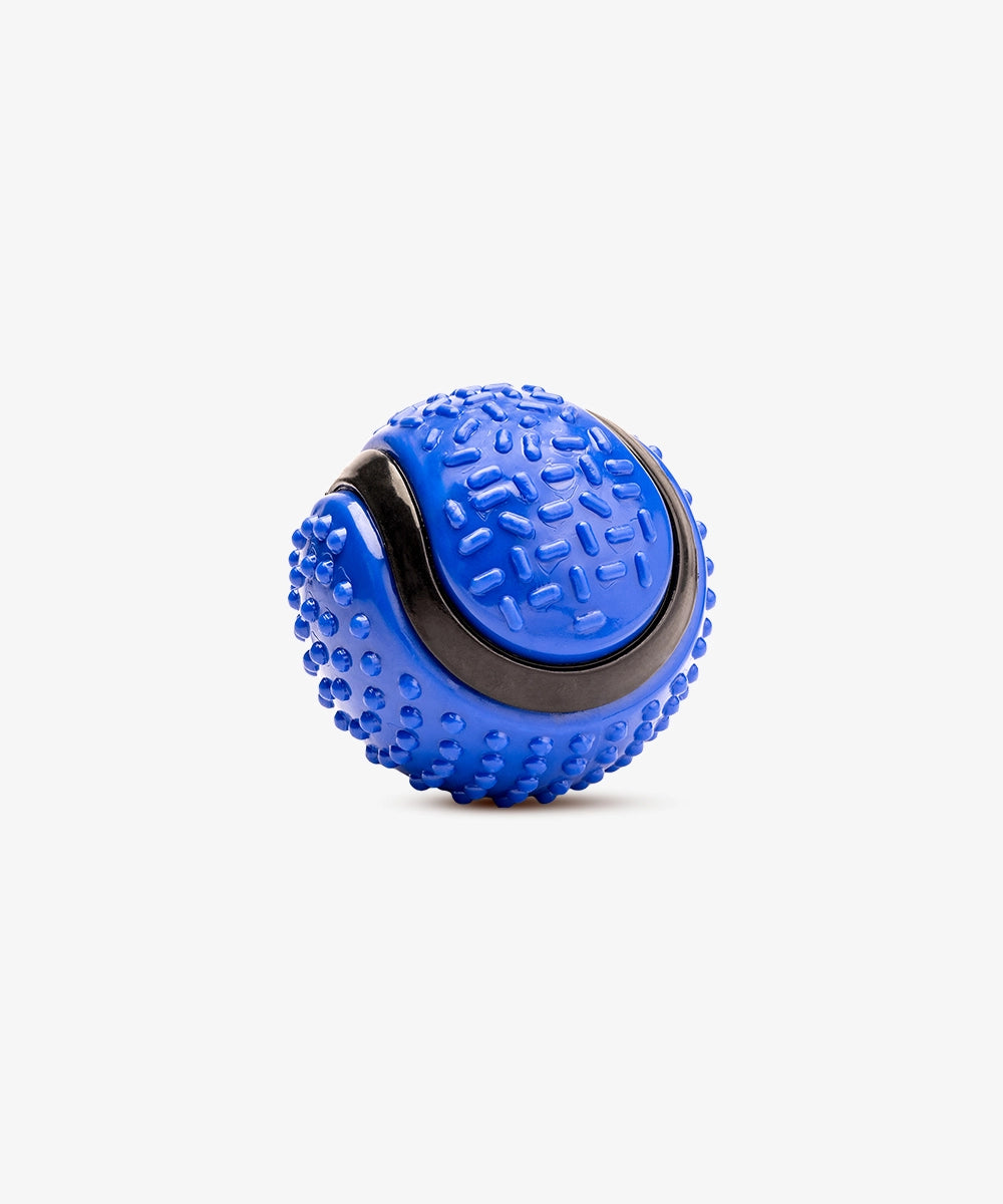 Rubber Toy, Dotted Big Ball, Blue
