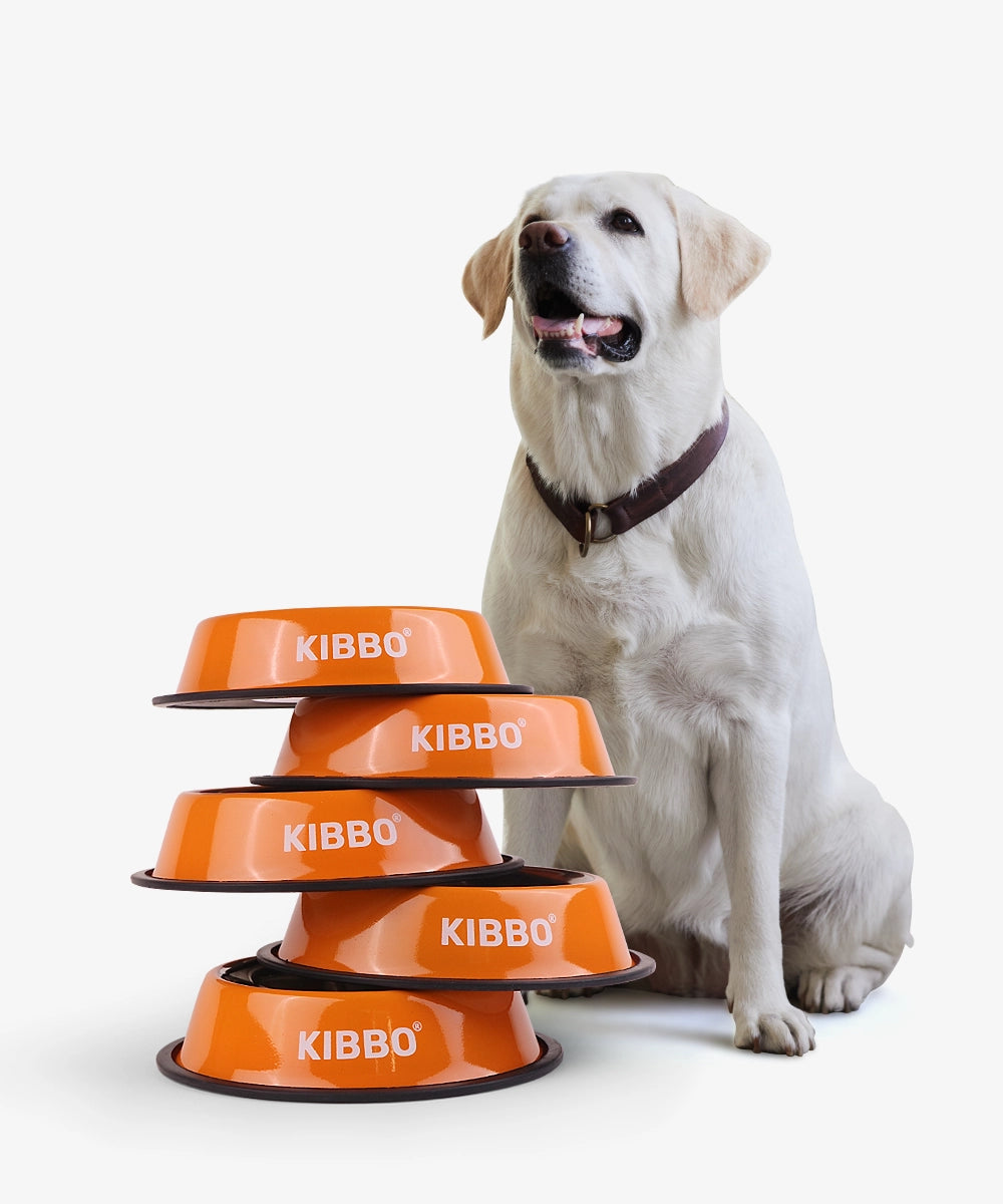 Anti skid bowl, orange