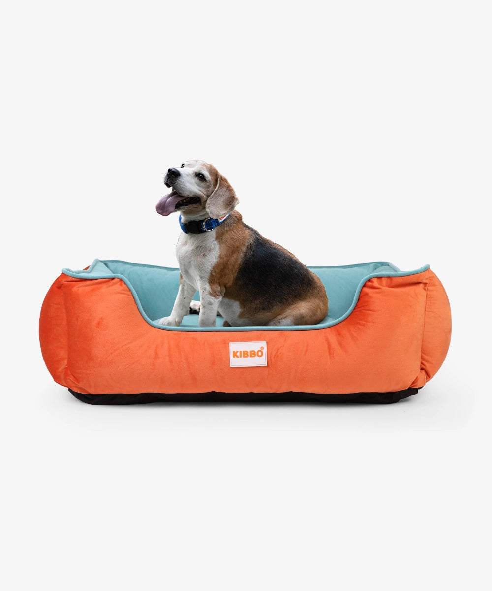 Kibbo lounger bed, orange & aqua