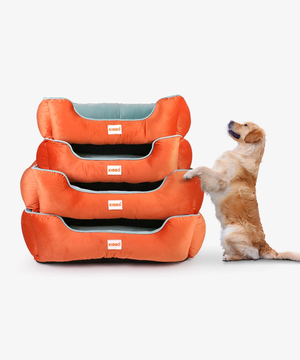 Kibbo lounger bed, orange & aqua