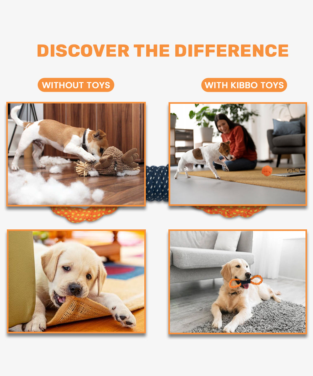 Rope toy, double loop tug