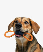 Load image into Gallery viewer, Rope Toy, Double Loop Tug

